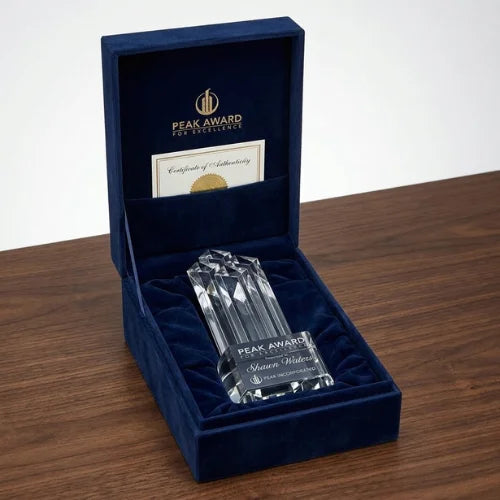 Executive Hayworth Crystal Award