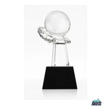 Collaborative Success Award