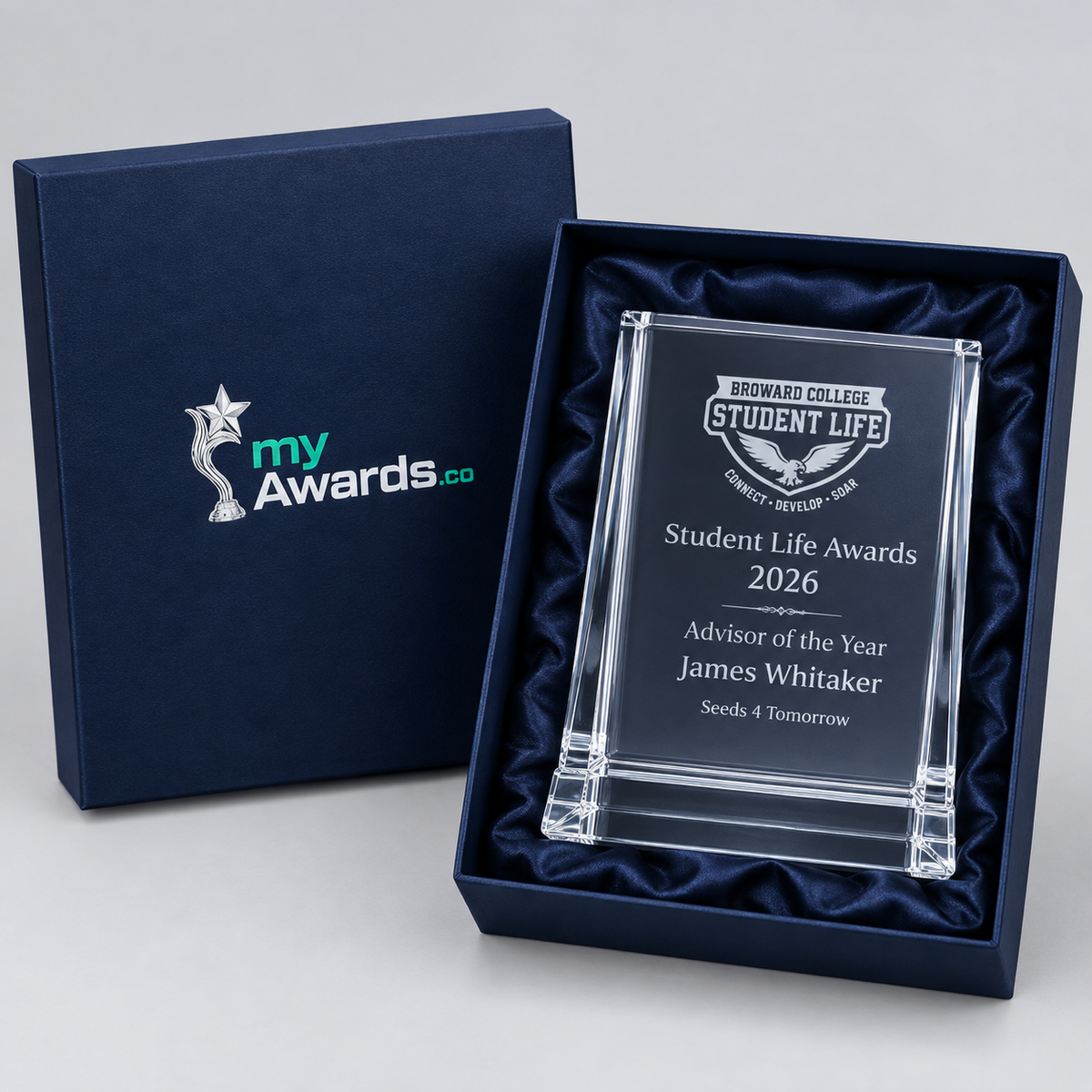 Modern Optical Crystal Award