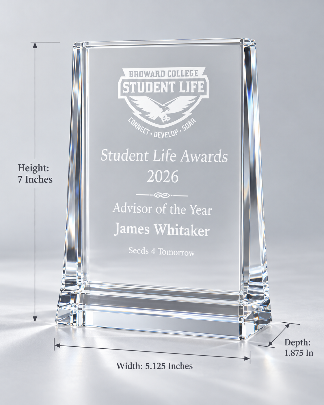Modern Optical Crystal Award
