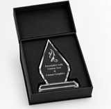 Diamond Crystal Award