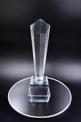 Pinnacle Crystal Award - Outstanding Achievement