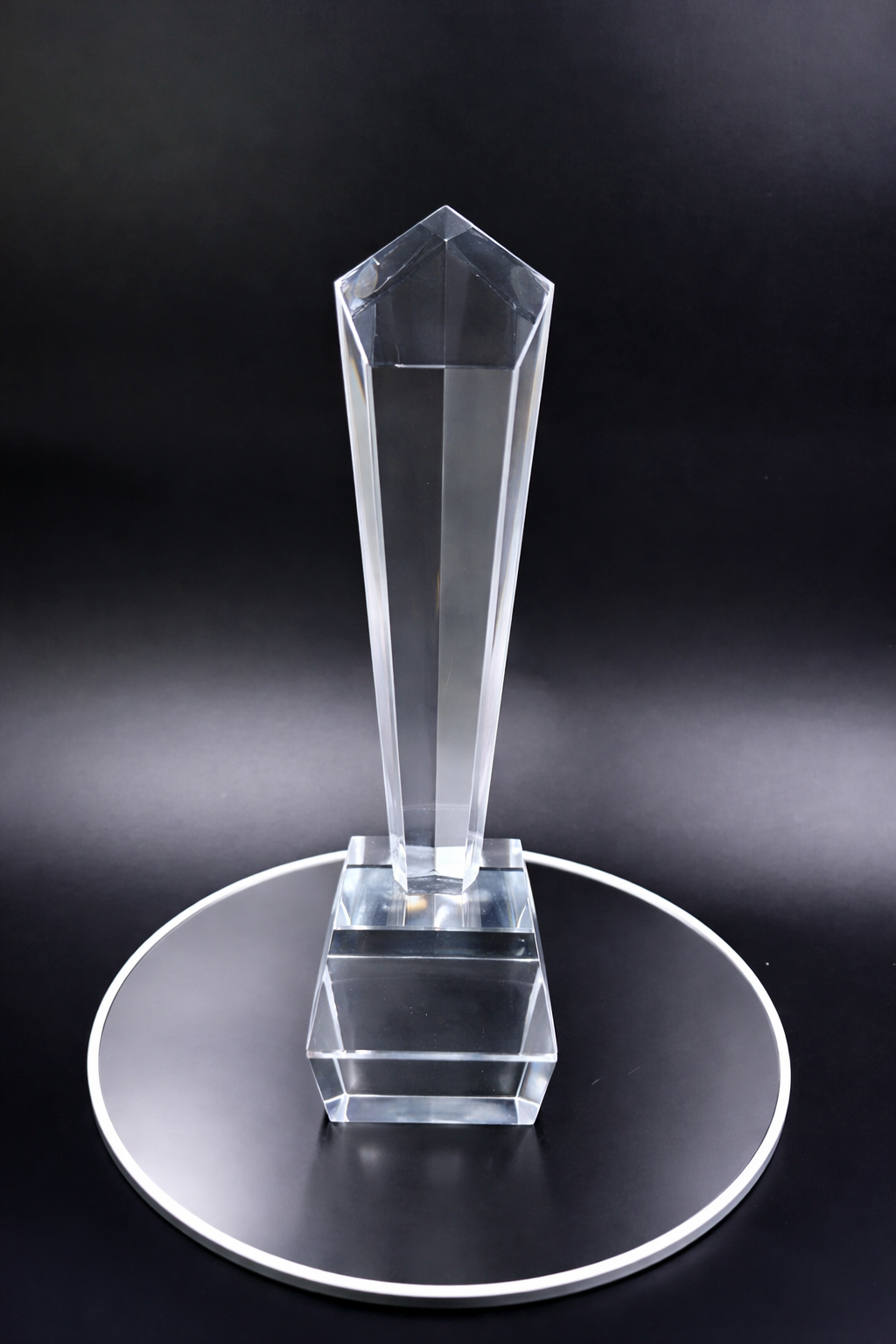 Pinnacle Crystal Award - Outstanding Achievement