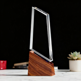 Summit Crystal Award - Appreciation