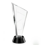 Invincible Crystal Award
