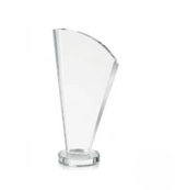 Merit Crystal Award
