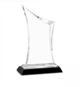 Coburn Crystal Award