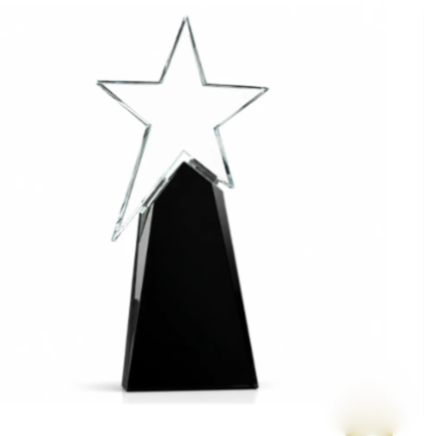 Shooting Star Crystal Award - Excellence