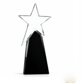 Shooting Star Crystal Award - Excellence