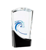Welton Crystal Award