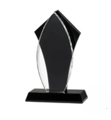 Executive Tuxedo Flame Award