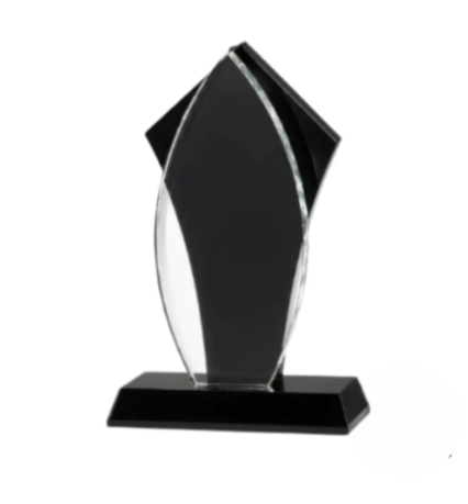 Executive Tuxedo Flame Award