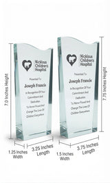 Wedge Wave Crystal Award