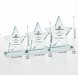 Crystal Star Award