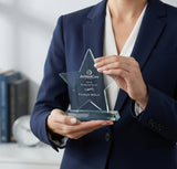Crystal Star Award