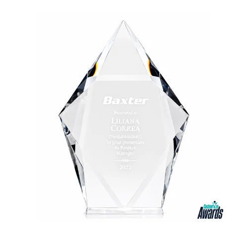 Summit Crystal Diamond Award - Corporate Leadership