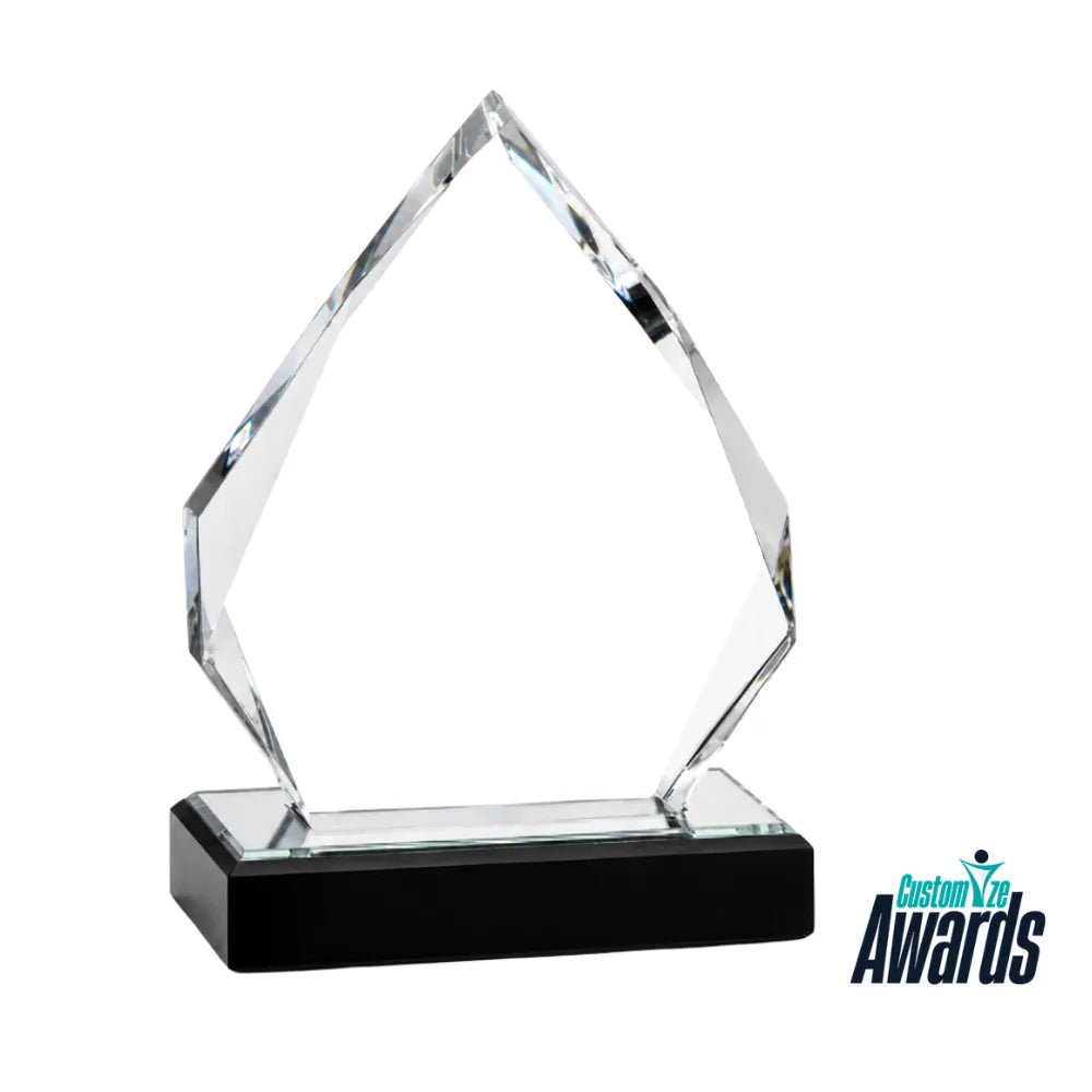 Vertex Prestige Crystal Award
